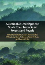 The Sustainable Development Goals: Their impact on forests and people